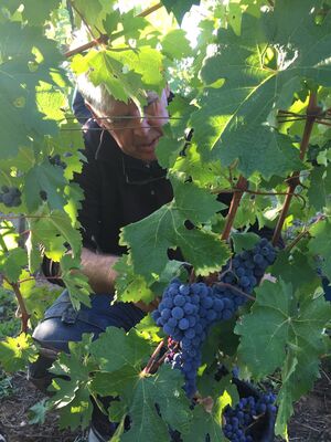 Domaine Le Passelys