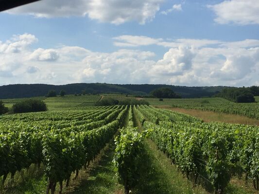 Domaine Le Passelys