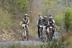 VTT