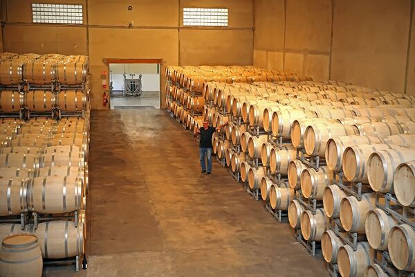 Vinovalie 3