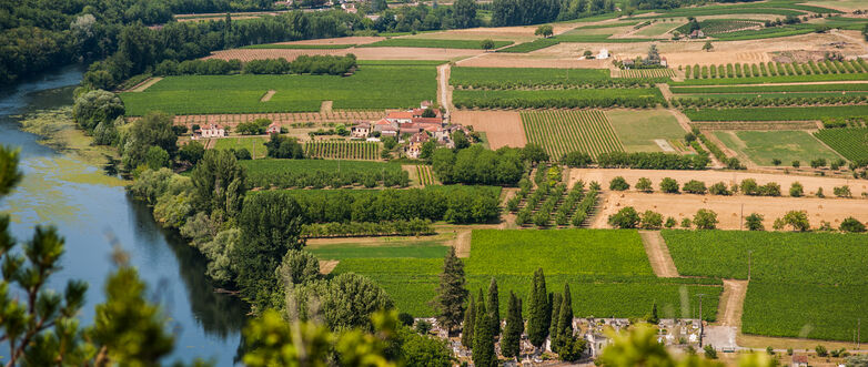 Vignes à Albas Vallée du Lot_12 © Lot Tourisme - C. ORY