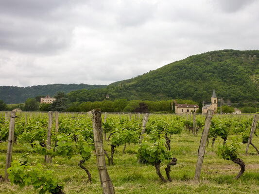Vignes et Eglise de Parnac _01 © Lot Tourisme - C. Sanchez