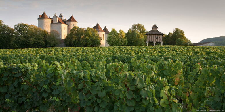 Caillac - Vignoble du Château La Grézette