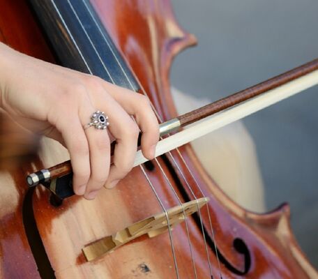 Zoom_violoncelle