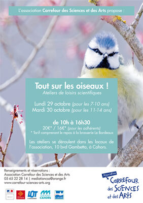 affiche-sciences_vacances_toussaint2018_OISEAUX_web