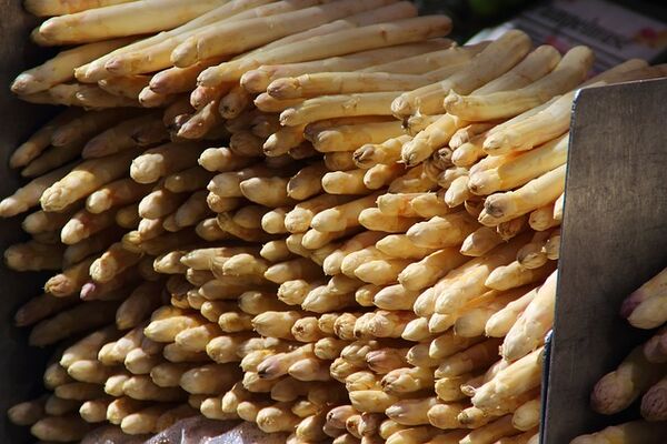 asparagus