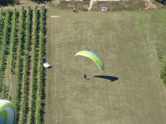 atterrissage-parapente-douelle-vignes
