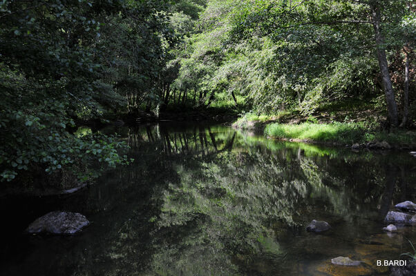 balade nature forêt gorge maronne