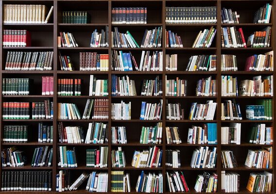 books-2463779_1280©pixabay