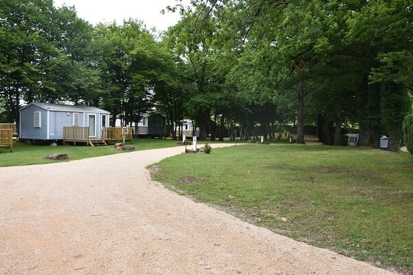 Le bois de Sophie