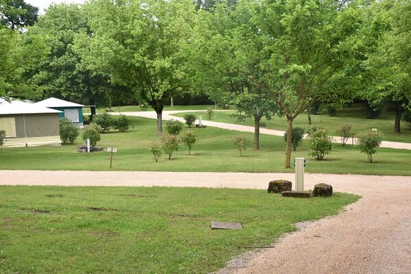 Le bois de Sophie