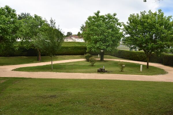Le bois de Sophie