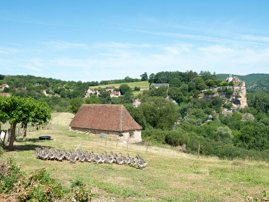 canard_dordogne_payrac_les_pins_yelloh_village