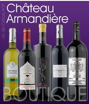 chateau-armandiere