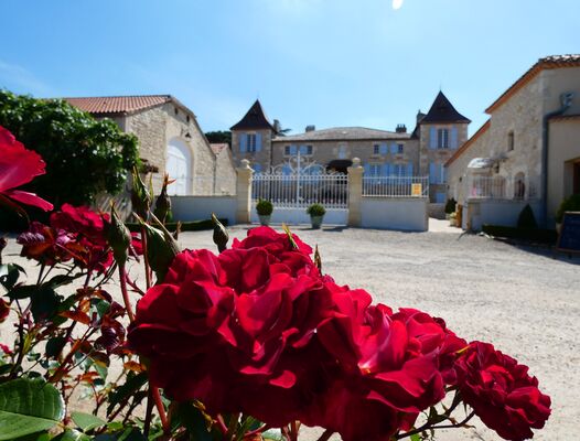 chateua fleurs copie