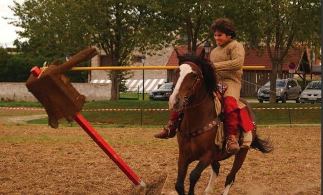 chevalier Graines de moutards 2018