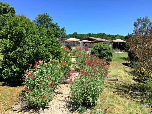 chemin-rocaille-menant-a-piscine