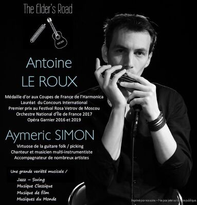 concert-harmonica