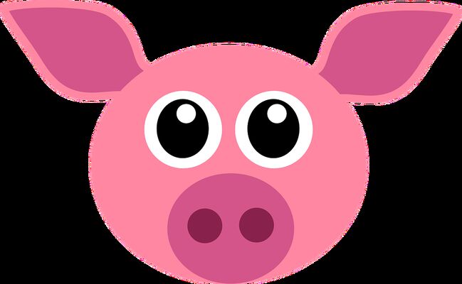 cochon