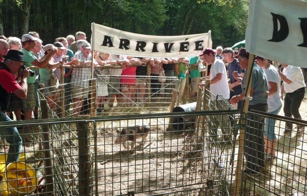 degagnazes foire