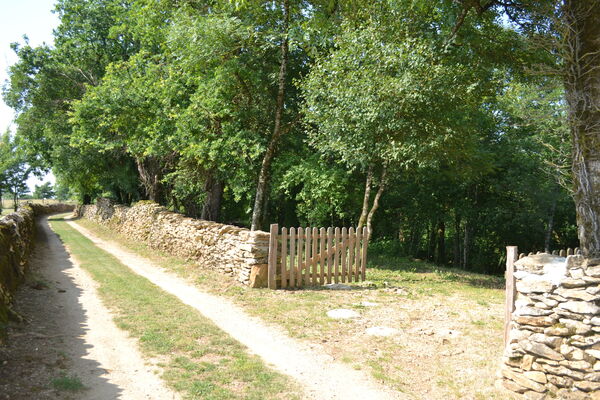 L'entrée du bois