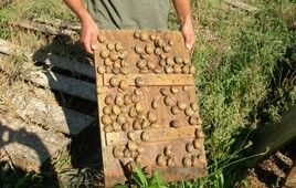 escargots cyril gourdon 1