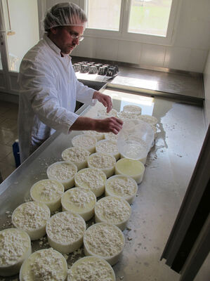 Ferme des Gariottes Saint Martin Labouval