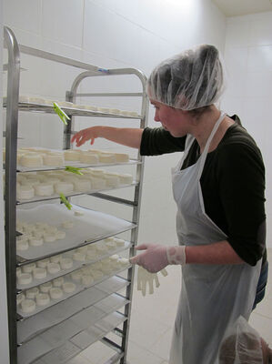 Ferme des Gariottes Saint Martin Labouval