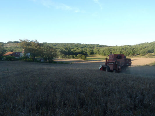 Ferme des Gariottes Saint Martin Labouval