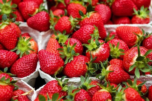 fraises