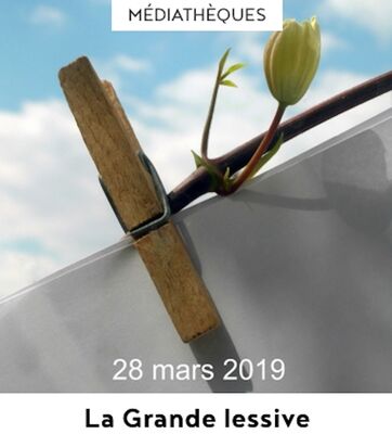 grande lessive