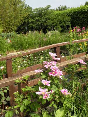 jardin