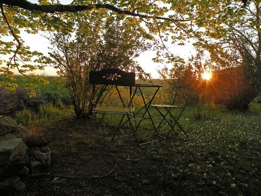 jardin2