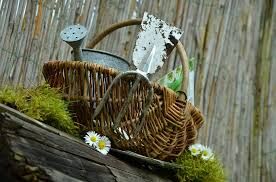 jardinage