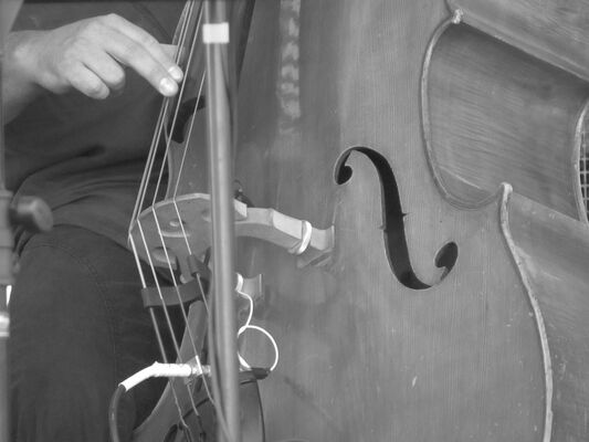 jazz contrebasse