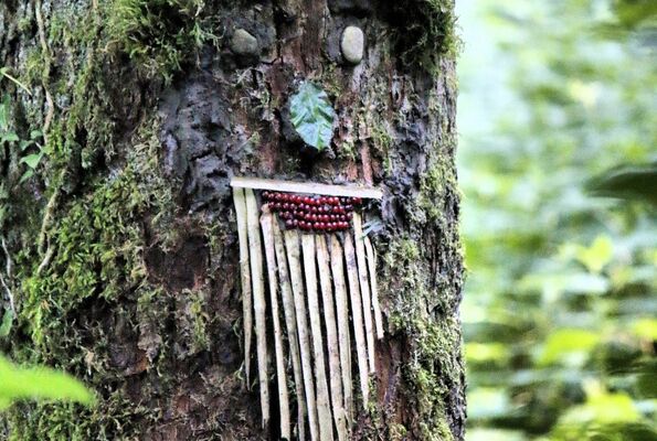 land-art-2-Pixabay