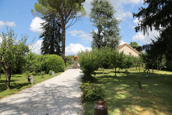 les-vieux-cedres-4