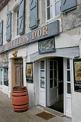 lion-d-or-galerie-facade