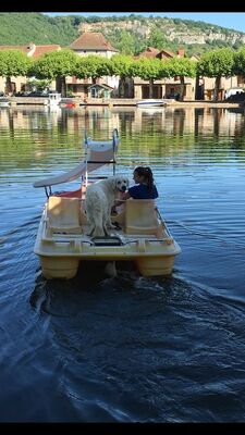 location-pedalo-lot