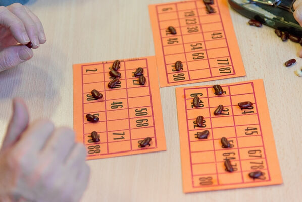 loto 1