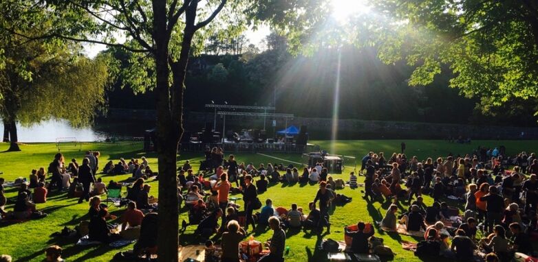magnific picnic