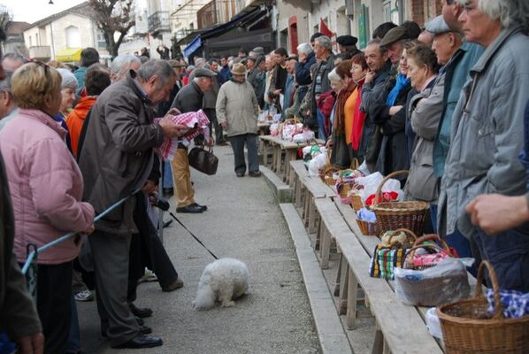 Journée Truffes