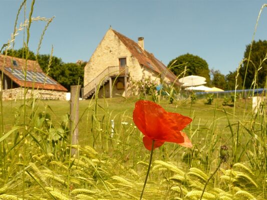 meuble - devalon guide 2014