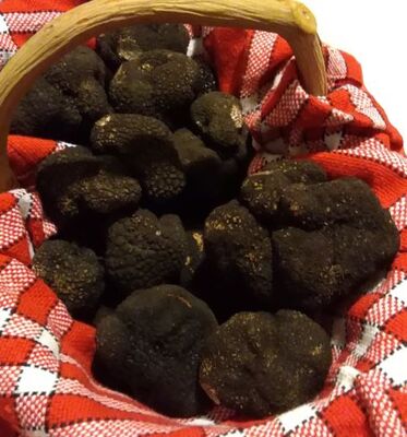 panier-truffes2