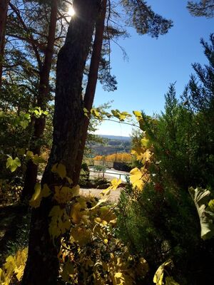pacha puy d arnac 3