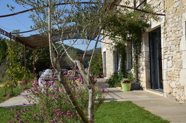 photo1