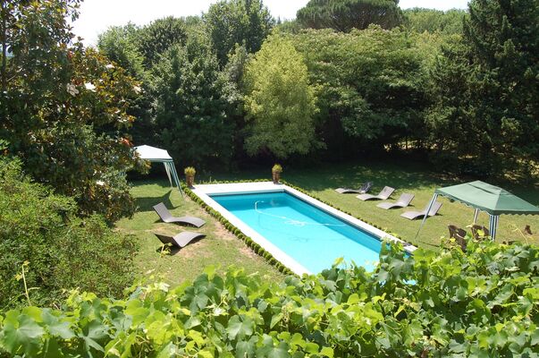 piscine et jardin