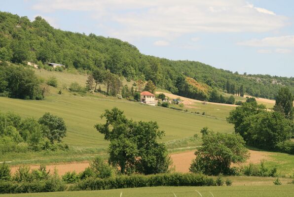 pomilot