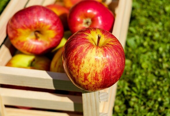 pommes rouges©Pixabay