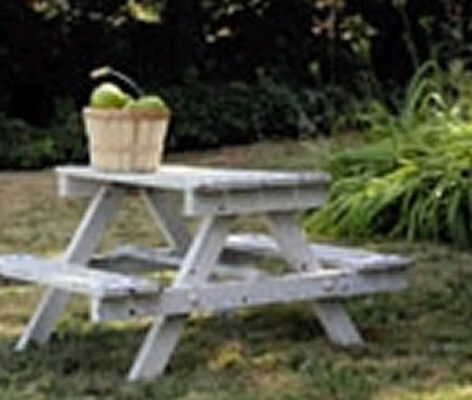 repas-champetre